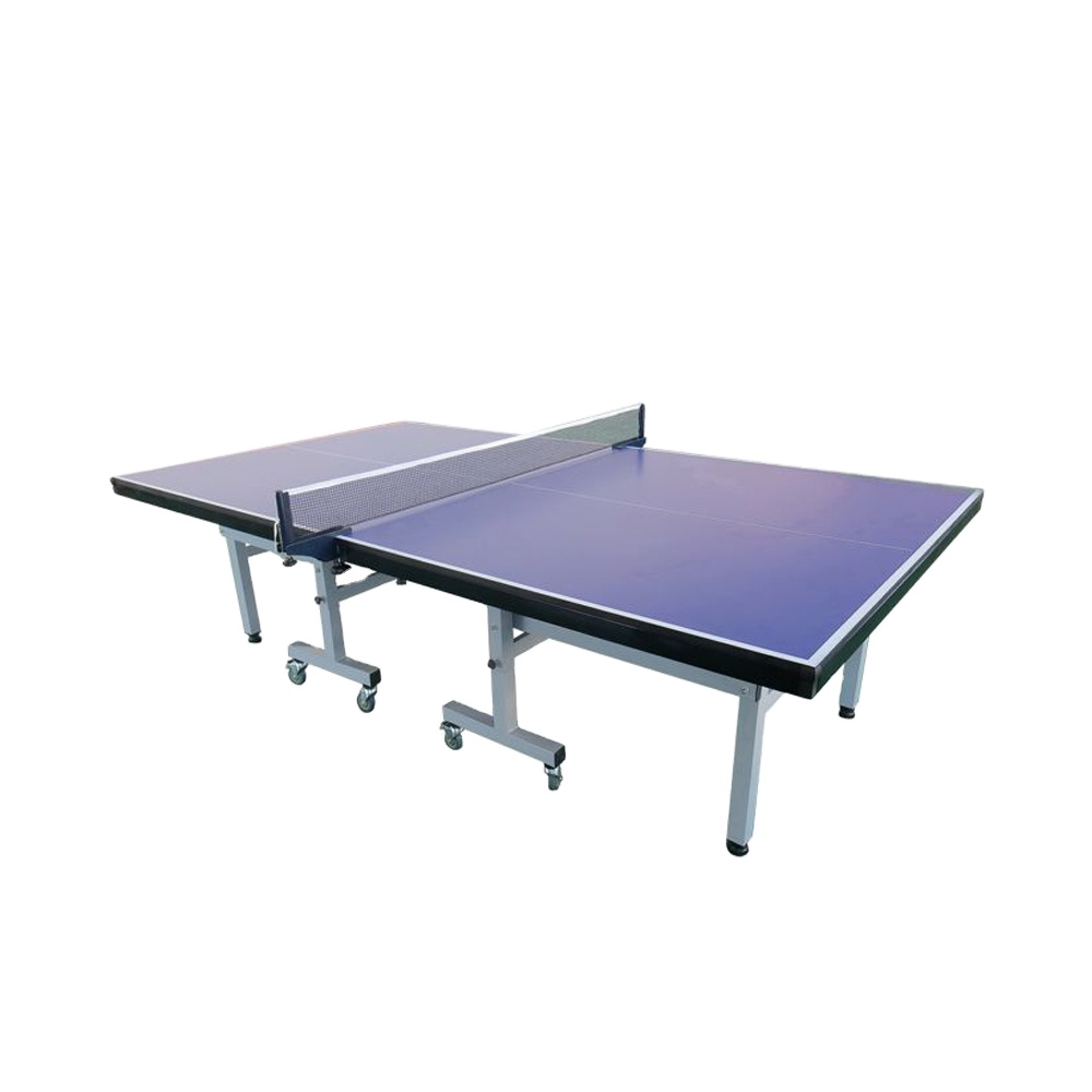 Table Tennis Training - 최고급 실내 탁구대