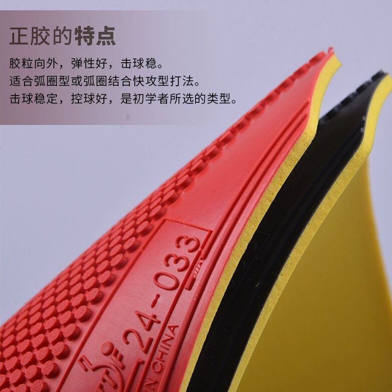 오리지널 DHS 드래곤 섀도우 탁구 러버 숏 핍스 아웃 - Table Tennis Shop 리뷰 및 가격